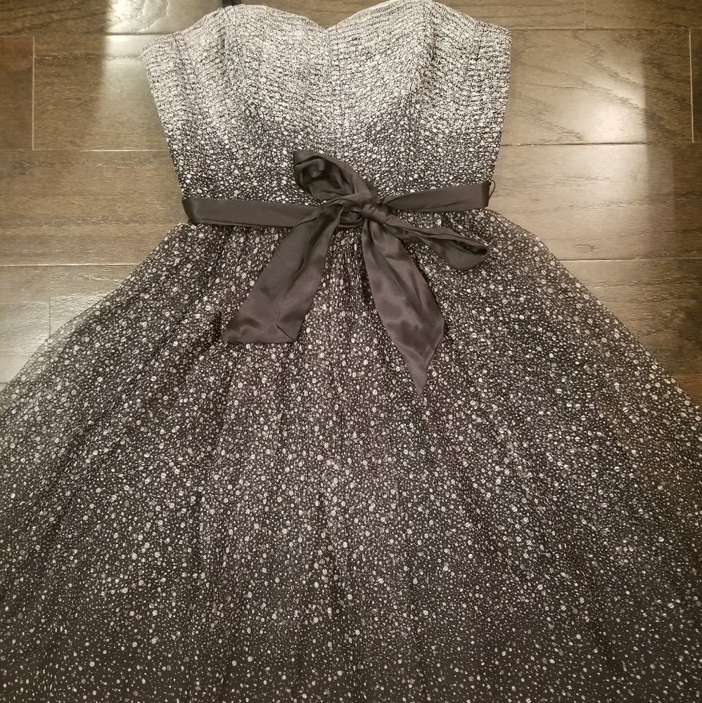 BCBG Maxazria Tulle Dress